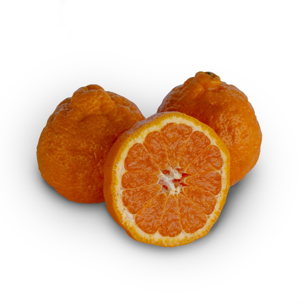 California Gold Nugget Mandarins 