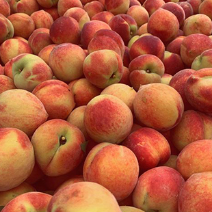 Georgia Peaches - 25 lb box